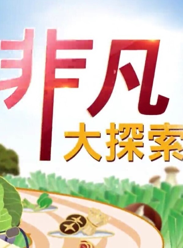真实约啪高颜值美女做爱完美露脸高颜值女神臣服于胯下爽炸 - 凹凹AV